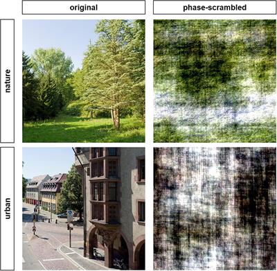 Implicit Associations With Nature and Urban Environments: Effects of Lower-Level Processed Image Properties